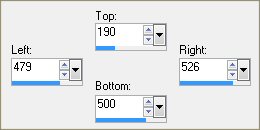 custom selection