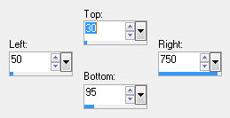 custom selection