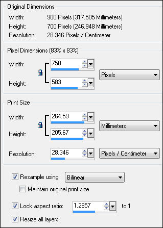 canvas size