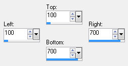 custom selection
