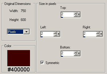 Border settings