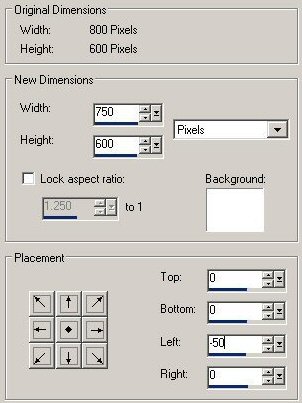 Canvas size