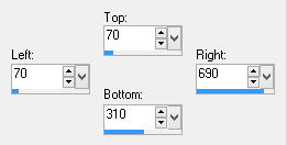 custom selection