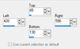 custom selection