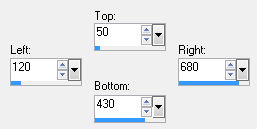 custom selection