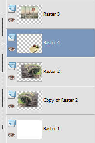 Raster 4