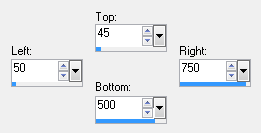 custom selection