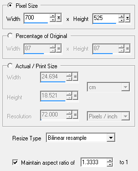 animation resize