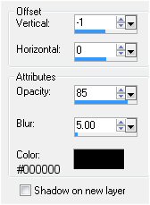 drop shadow setting