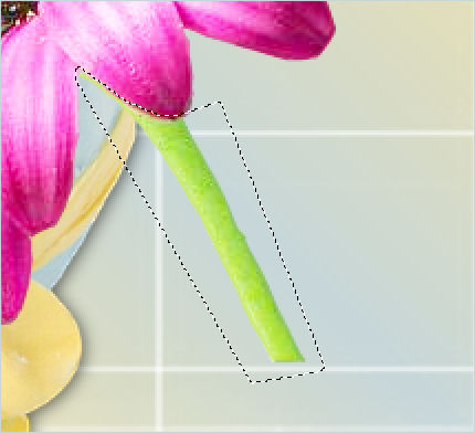 select stem