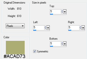 border setting