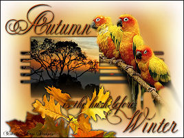 Autumn Hush