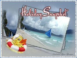 Holiday Snap Shot