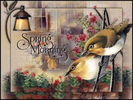Spring Morning